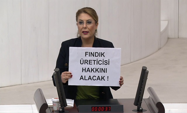 Gezmiş: ''Fındıktan geçim olmazsa gündemde seçim olur''