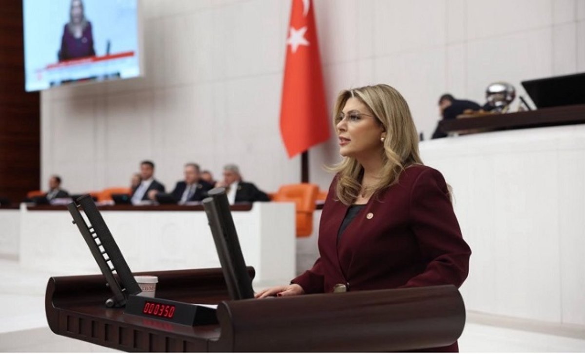 Elvan Işık Gezmiş ''Ordu-Giresun Havalimanı’nda Sefer Sayılarının Yetersizliği Giderilmeli''